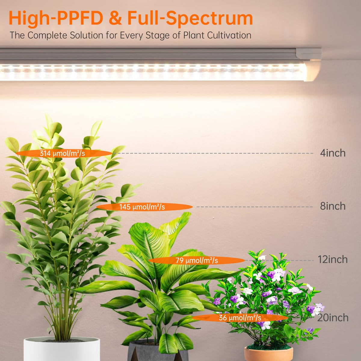 Bstrip T8 grow light supports seedlings and tropicals with full-spectrum coverage
