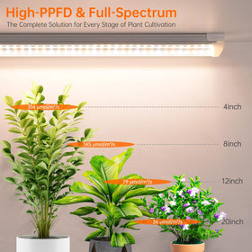 Bstrip T8 grow light supports seedlings and tropicals with full-spectrum coverage