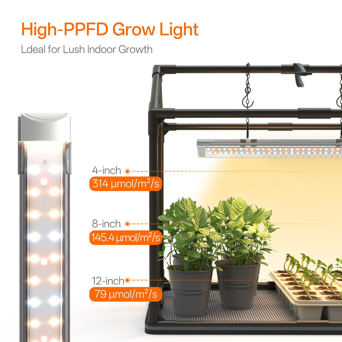 Bstrip Tabletop Greenhouse Assembly—tool-free setup for quick use.
