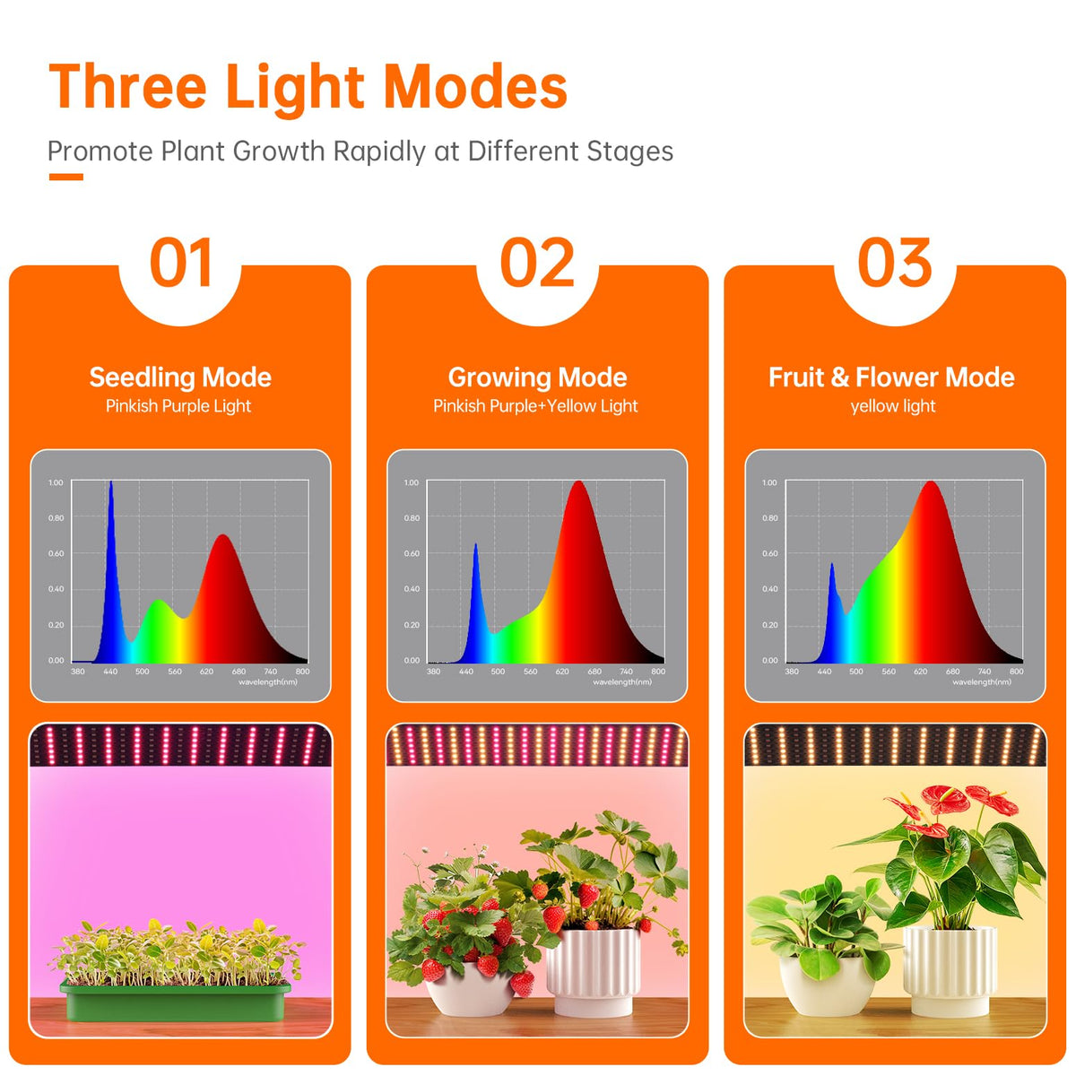 Bstrip built-in timer modes let you automate lighting for consistent care.