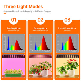 Bstrip built-in timer modes let you automate lighting for consistent care.