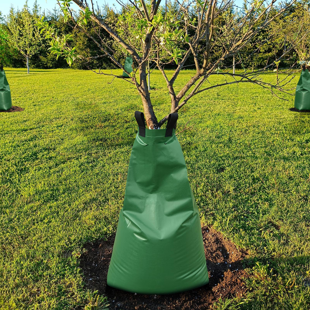 Btanadi multi-bag setup around a large tree for extended hydration