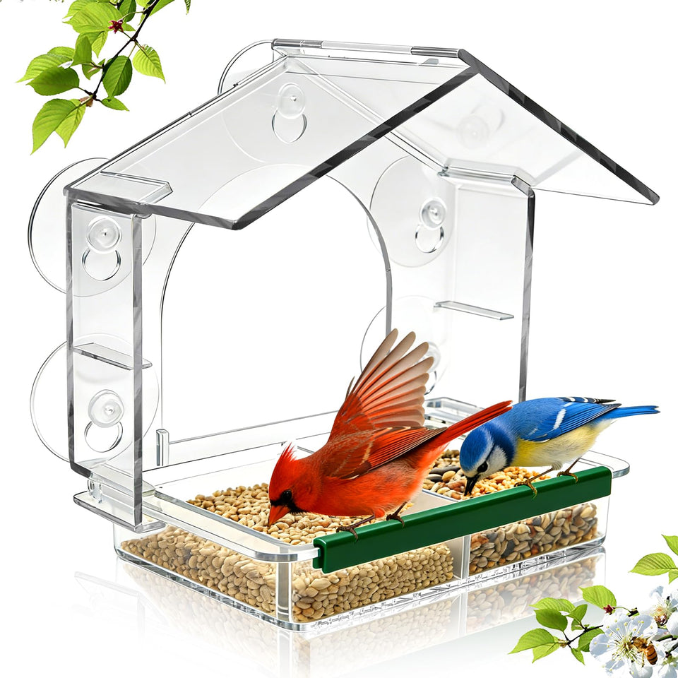 BTFSZ Window Bird Feeder viewed through crystal-clear acrylic for uninterrupted bird watching.