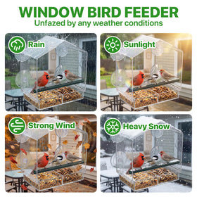 BTFSZ window bird feeder easy-install without tools for instant setup