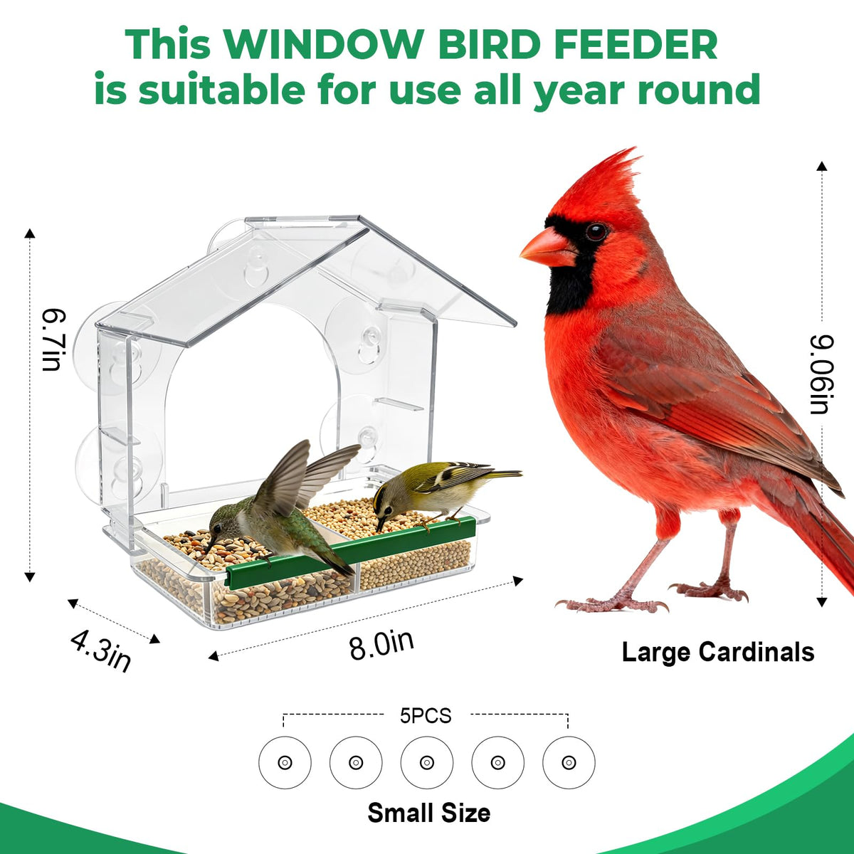 BTFSZ window feeder removable tray simplifies refilling and cleaning.