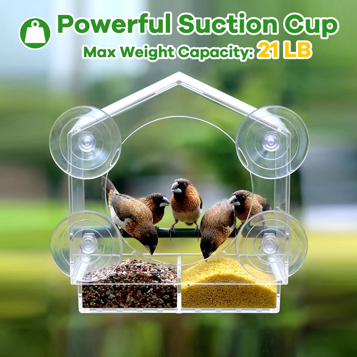 BTFSZ window bird feeder weatherproof design withstands snow rain and sun
