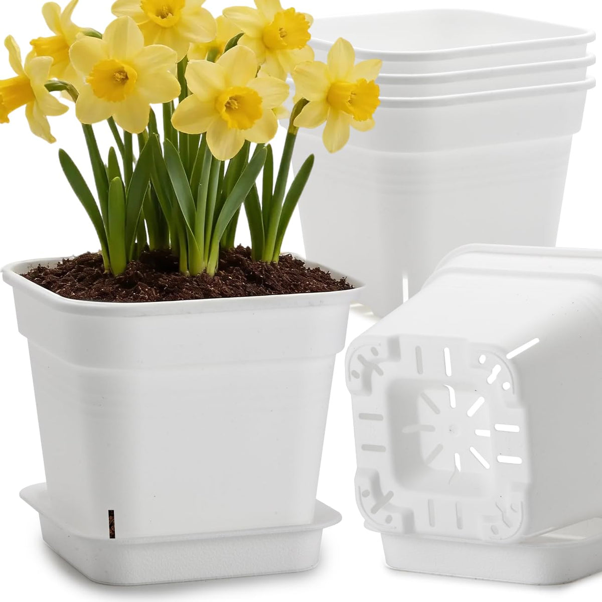 BTPLASTIK 10-inch square planter with saucer for indoor setup and spill protection
