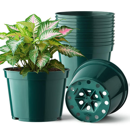 BTPLASTIK 15-pack 6-inch plant pots for seedlings and herbs