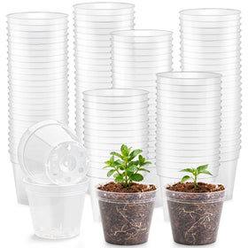 BTPLASTIK 2.5 inch clear nursery pot with drainage holes for seed germination and root monitoring