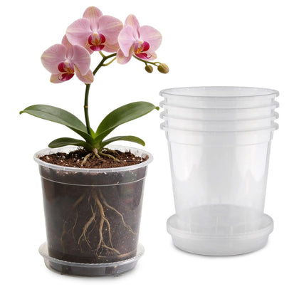 BTPLASTIK 2-gallon clear nursery pot with saucer shows moisture and root health.