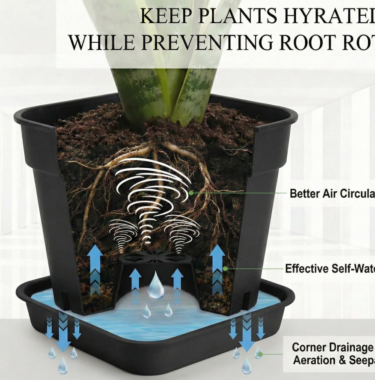 BTPLASTIK planter with 32-hole drainage promoting root aeration and drainage.