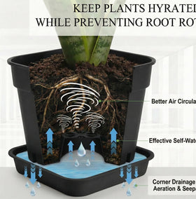 BTPLASTIK planter with 32-hole drainage promoting root aeration and drainage.