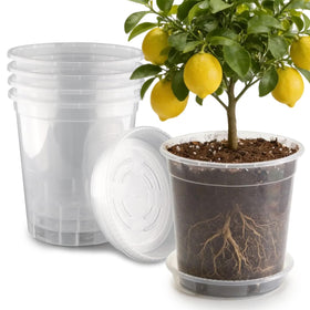 BTPLASTIK 5-gallon clear nursery pot with saucer shows soil moisture checks for seedlings and mature plants.