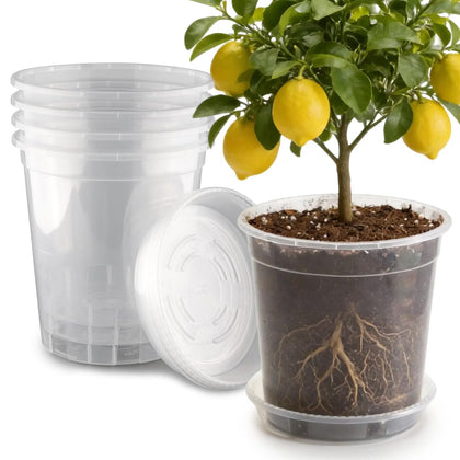BTPLASTIK 5-gallon clear nursery pot with saucer shows soil moisture checks for seedlings and mature plants.
