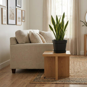 BTPLASTIK 6-pack square planters ideal for space-saving urban gardening.