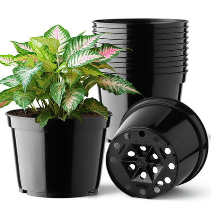 BTPLASTIK 6-inch pot with drainage holes for seedlings
