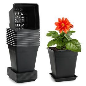 BTPLASTIK 6-inch square pot with drainage holes for healthy roots.