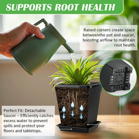 BTPLASTIK 6-inch pot with tray included keeps surfaces dry.