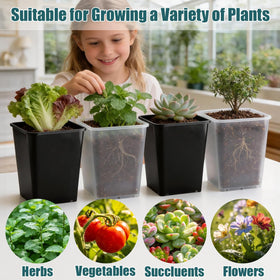 BTPLASTIK 6-inch top-opening seedling pots simplify transplanting and growth monitoring.