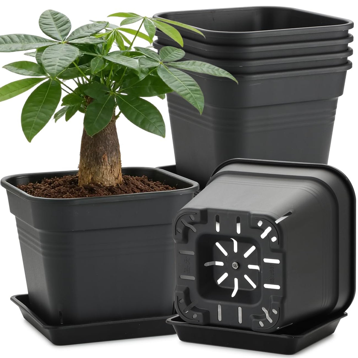 BTPLASTIK 8-inch square planter with tray for clean, mess-free setup.