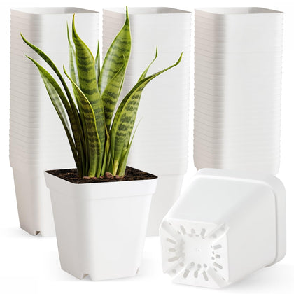 BTPLASTIK 4-inch white nursery pot with drainage holes for healthy seedlings