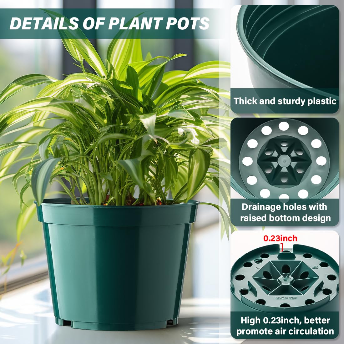 BTPLASTIK 8-inch pot offers sturdy space for growing seedlings