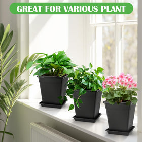 BTPLASTIK 8 inch planter, removable saucer for easy cleaning.