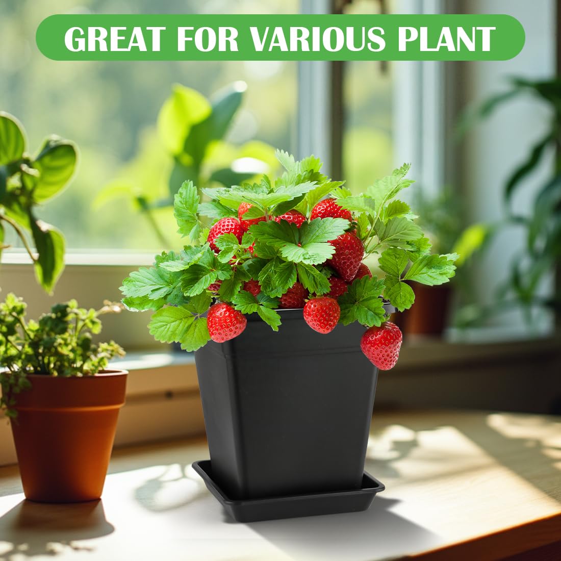BTPLASTIK 9-inch square planter suited for desktop or compact spaces.