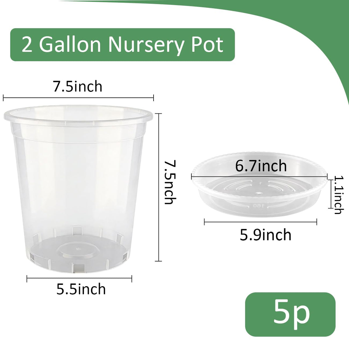 BTPLASTIK clear nursery pot with drainage holes enables proper watering.