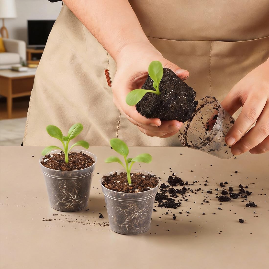 BTPLASTIK clear seedling pot helps observe root growth and soil moisture