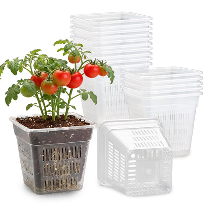 BTPLASTIK clear square nursery pot 6-inch for root observation and seed starting