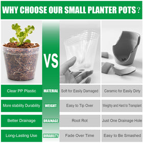 BTPLASTIK compact nursery pot with multiple drainage holes for airflow and drainage