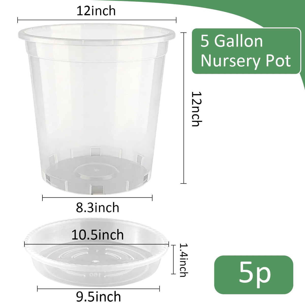 BTPLASTIK drainage holes clear nursery pot with saucer enables drainage and mess-free watering.