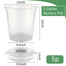 BTPLASTIK drainage holes clear nursery pot with saucer enables drainage and mess-free watering.