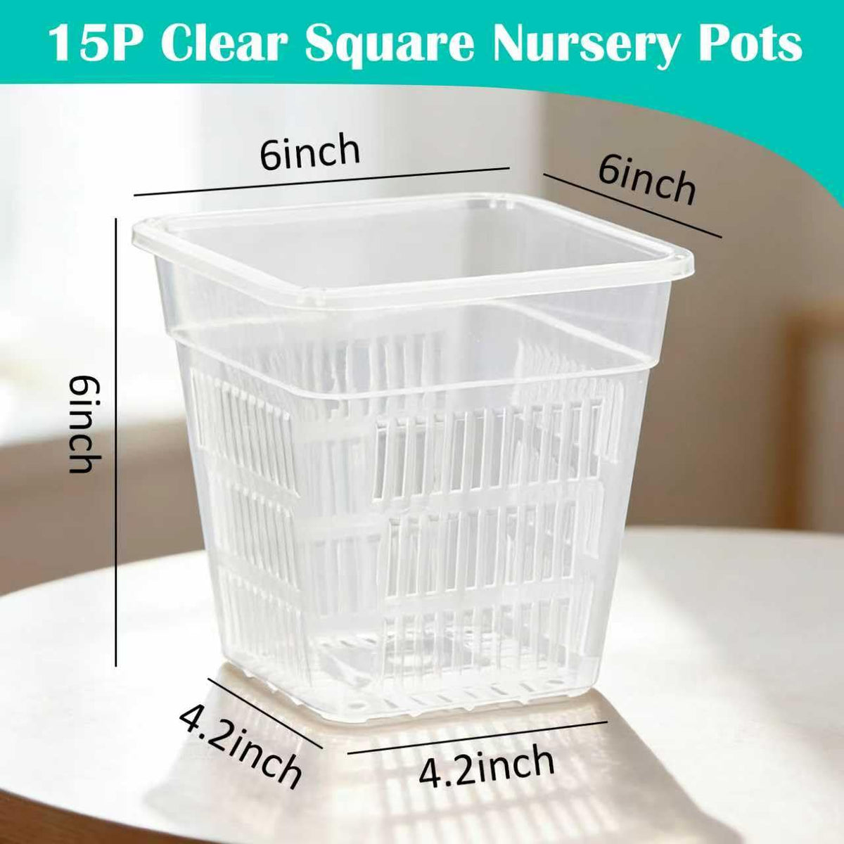 BTPLASTIK 6-inch clear pot shown being gently squeezed