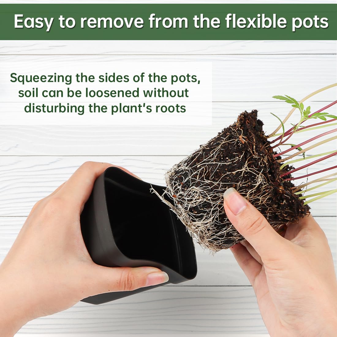 BTPLASTIK 2.7-inch square pot uses squeeze-to-loosen soil for easy transplant.