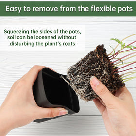 BTPLASTIK 2.7-inch square pot uses squeeze-to-loosen soil for easy transplant.