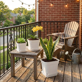 BTPLASTIK eight-inch square pot with saucer supports larger plants and space optimization.