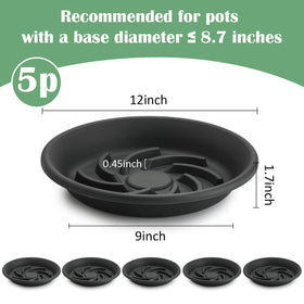 BTPLASTIK Elevated Spiral Base shows pot elevation for better airflow