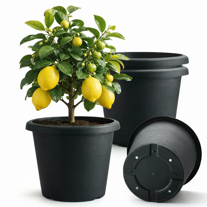 BTPLASTIK four-pack 16-inch planter with cement texture for stylish indoor/outdoor use