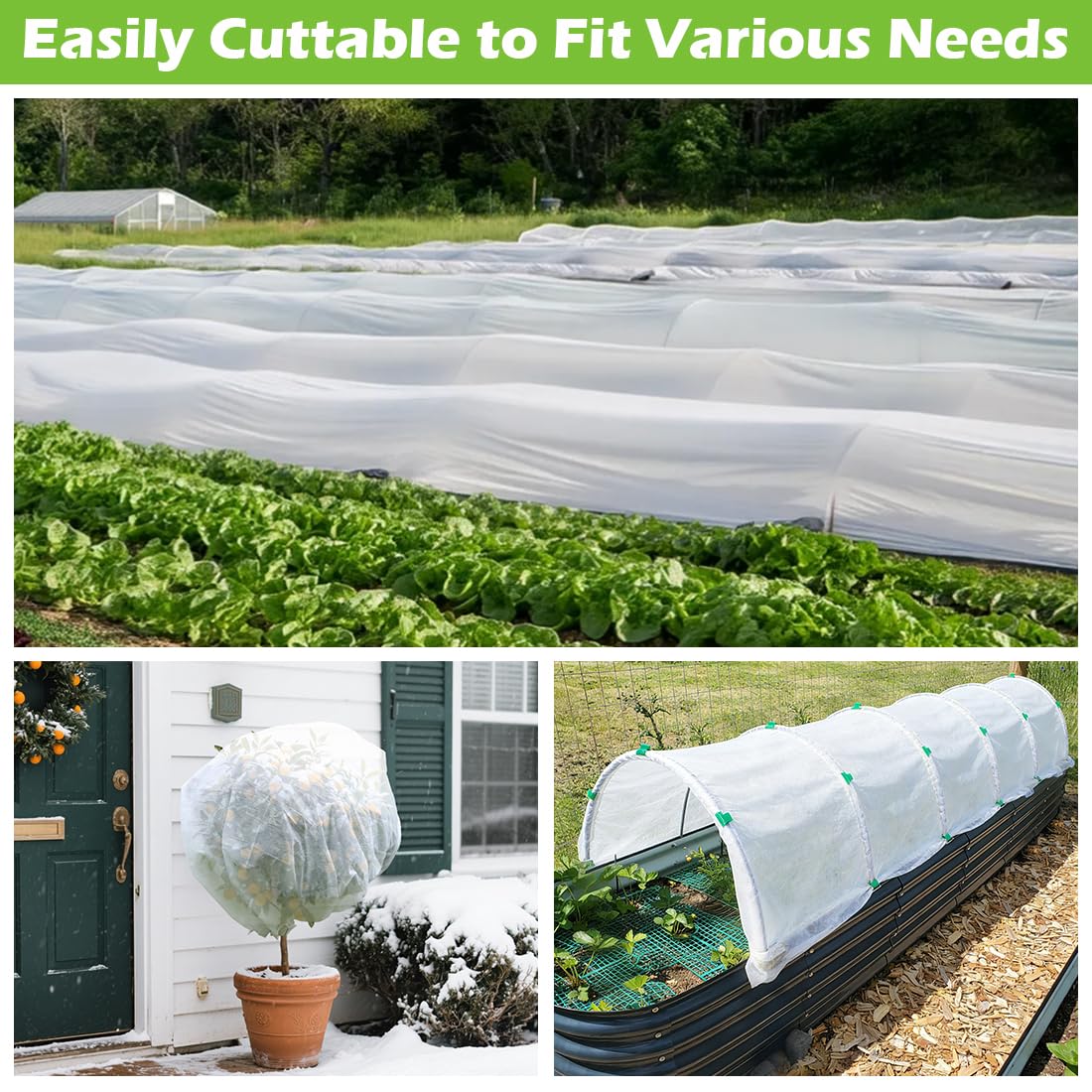BTPLASTIK frost protection cloth guards perennials and fruit trees.