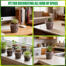 BTPLASTIK gardening gift kit pot set for hobbyists and educational use