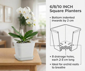 BTPLASTIK heavy-duty 5mm plastic pot resists impact and sun exposure.