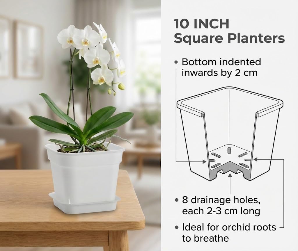 BTPLASTIK heavy-duty 5mm square planter resists sun and heavy soil
