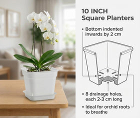 BTPLASTIK heavy-duty 5mm square planter resists sun and heavy soil