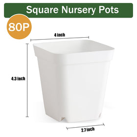 BTPLASTIK herbs and seedlings pot, white 4-inch for indoor gardens