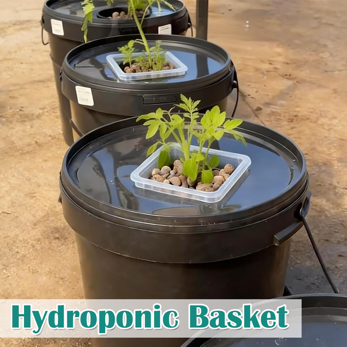 BTPLASTIK hydroponic square pot suitable for orchids