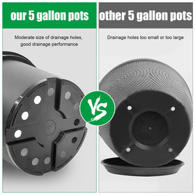 BTPLASTIK versatile for indoor and outdoor planting with various plant types