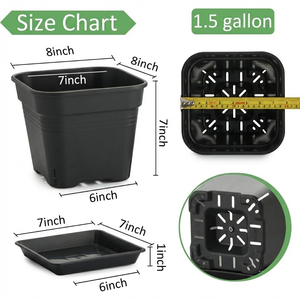 BTPLASTIK matte black planter with matching tray for modern decor.