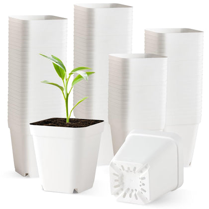 BTPLASTIK nursery pots 3.5-inch front view with drainage holes for seedlings